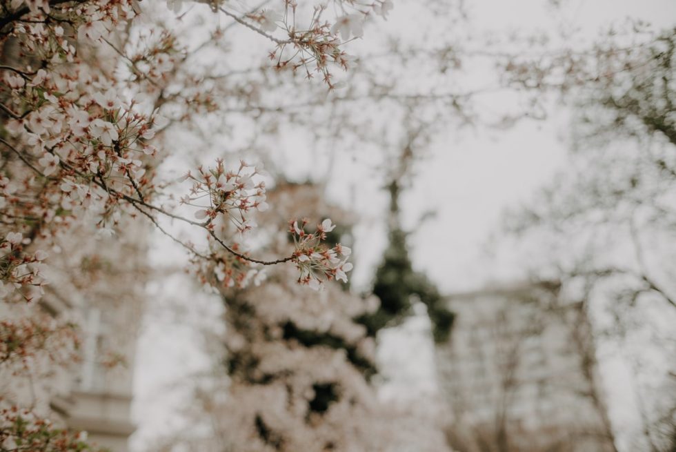 Marlene Ebert - Berlin