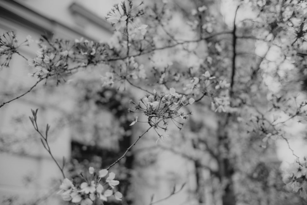 Marlene Ebert - Berlin