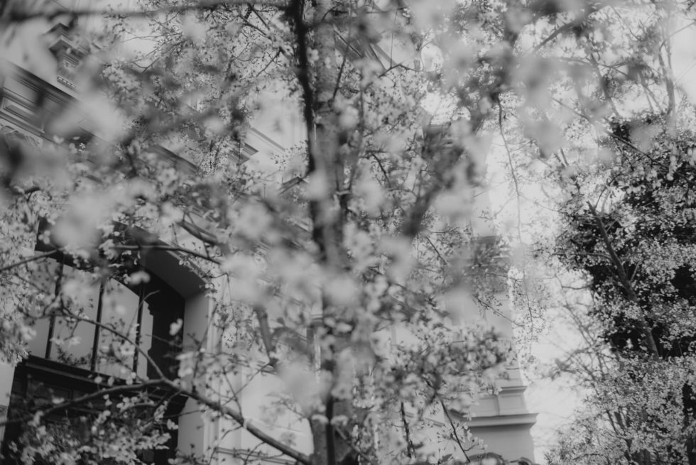 Marlene Ebert - Berlin