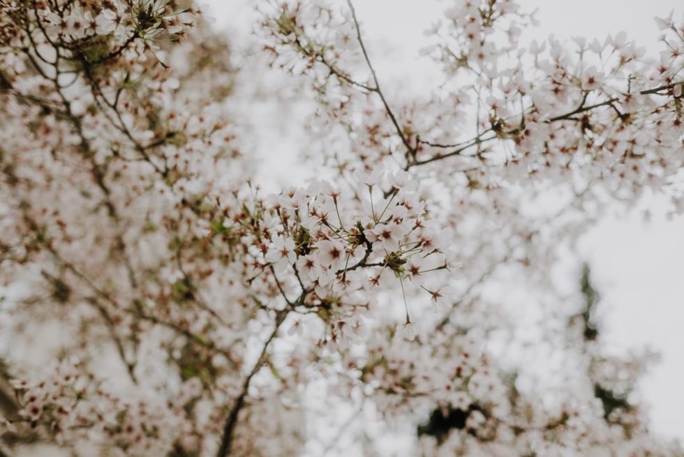 Marlene Ebert - Berlin