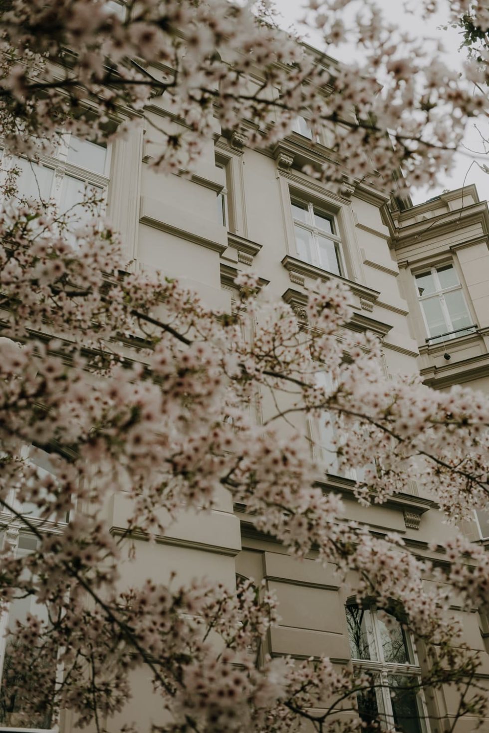 Marlene Ebert - Berlin