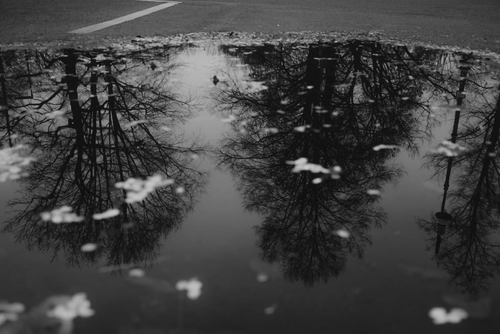 Marlene Ebert - Berlin