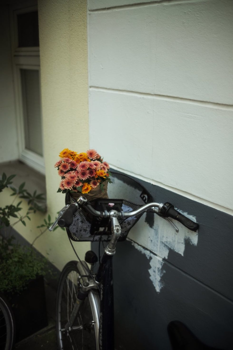 Marlene Ebert - Hamburg