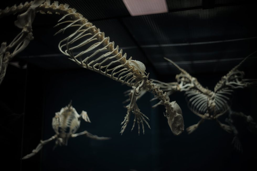 Marlene Ebert - Hamburg