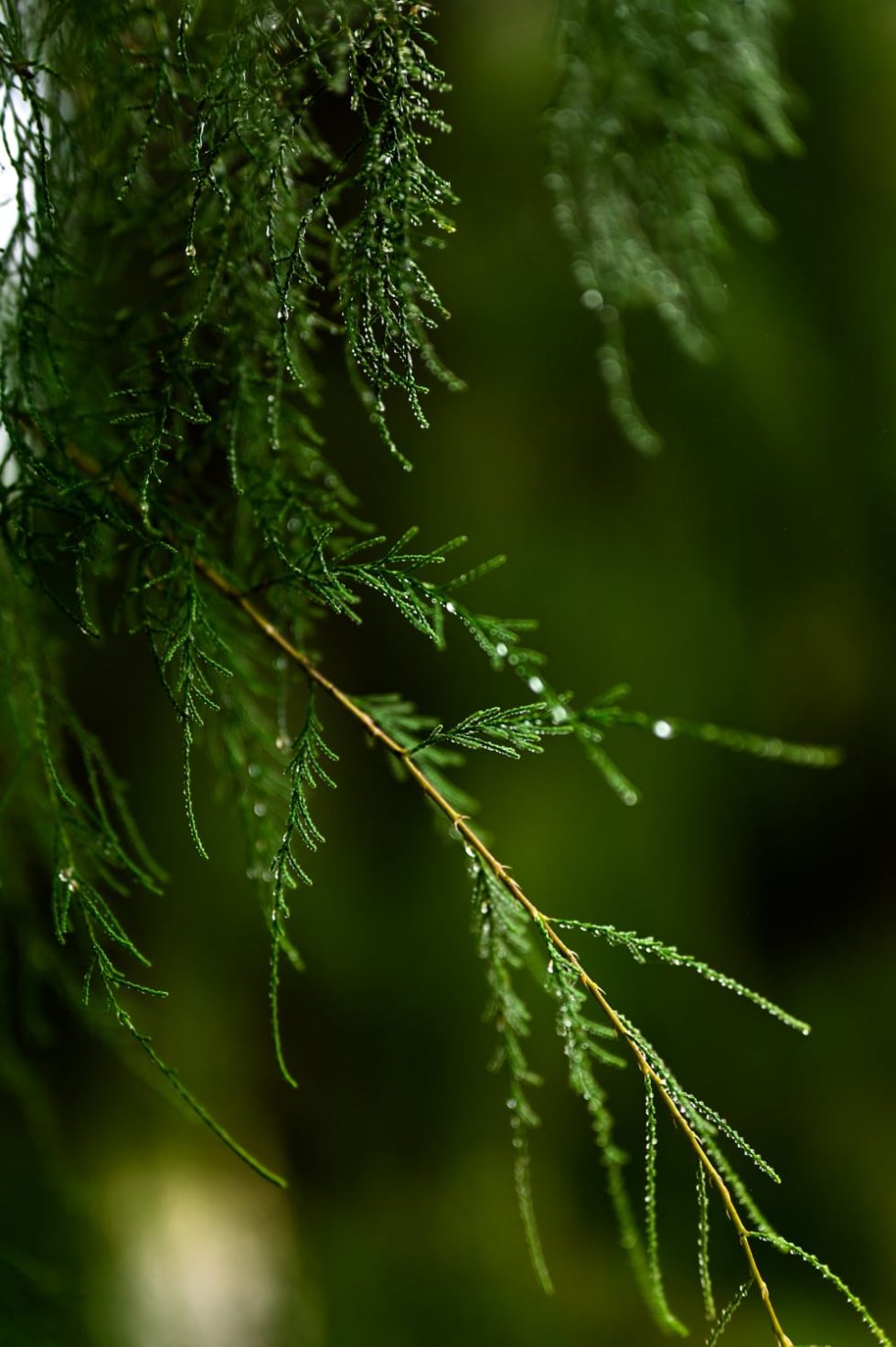 Marlene Ebert - Südafrika