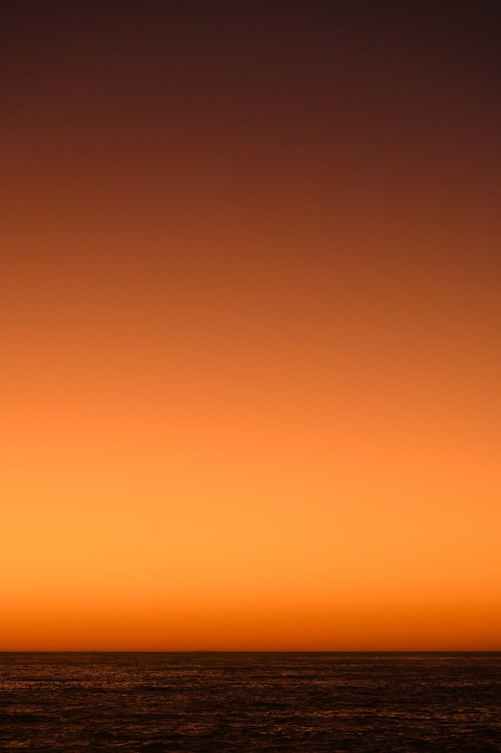 Marlene Ebert - Südafrika