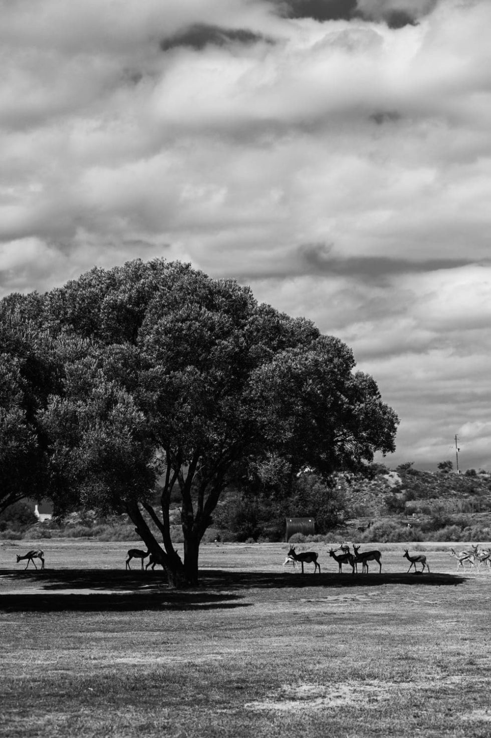 Marlene Ebert - Südafrika