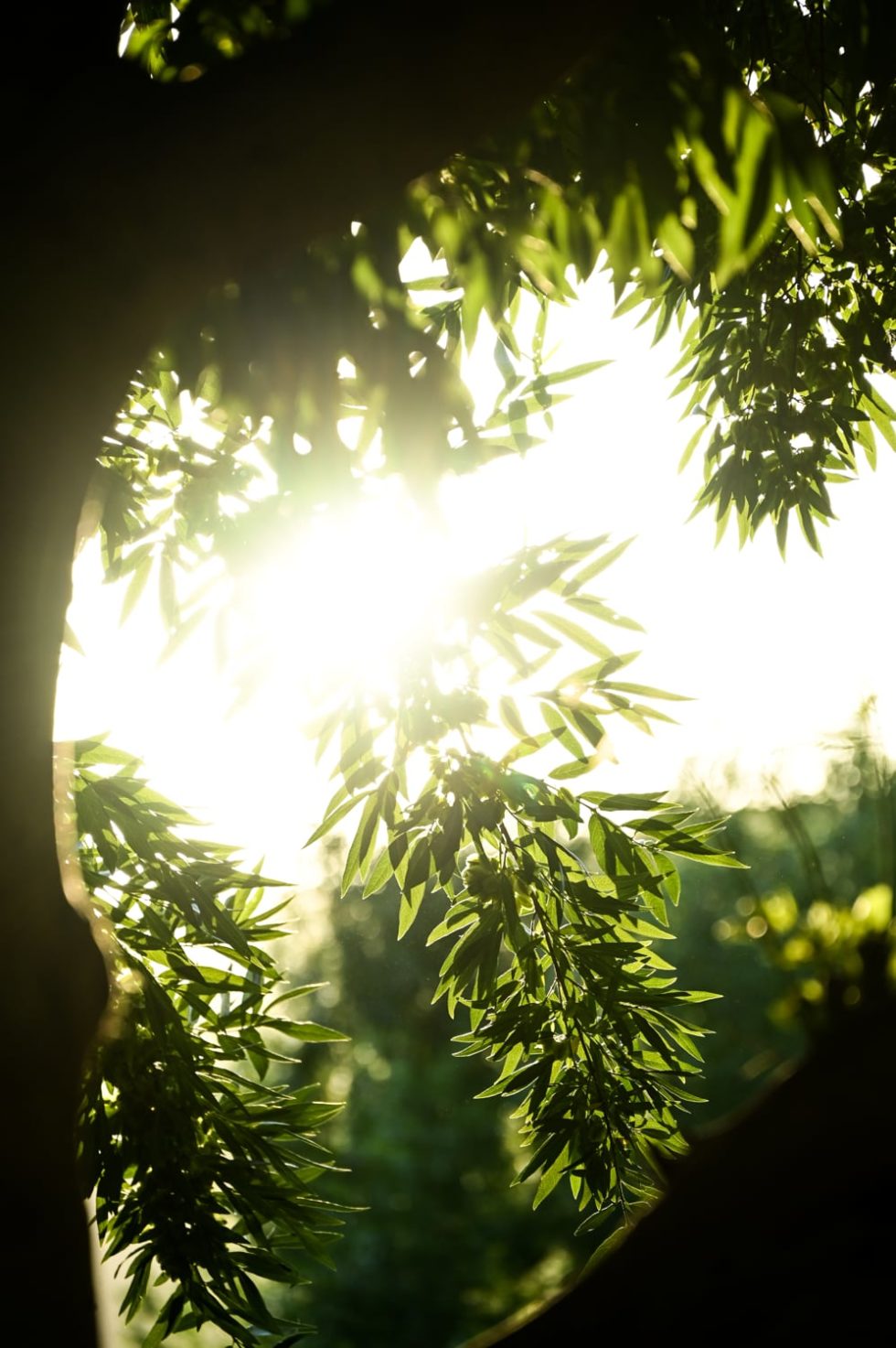 Marlene Ebert - Südafrika