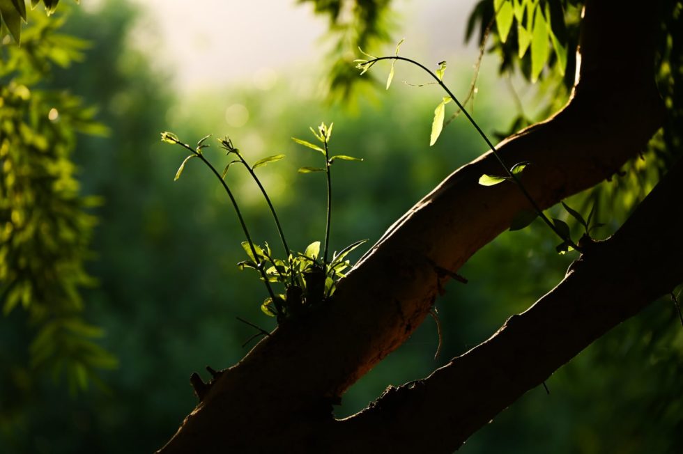 Marlene Ebert - Südafrika