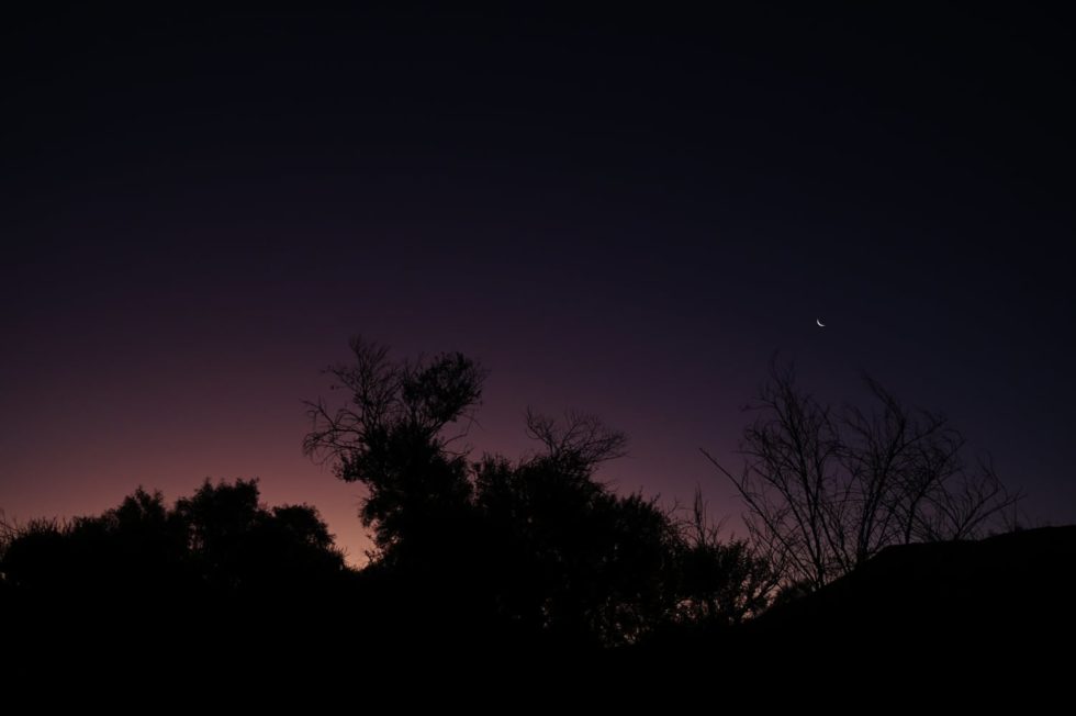 Marlene Ebert - Südafrika