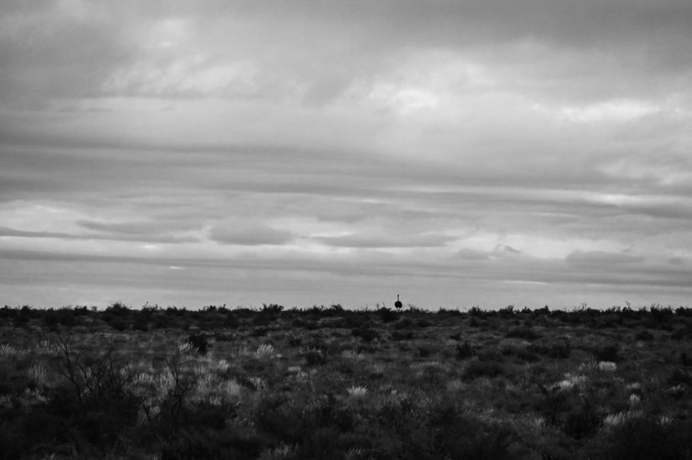 Marlene Ebert - Südafrika