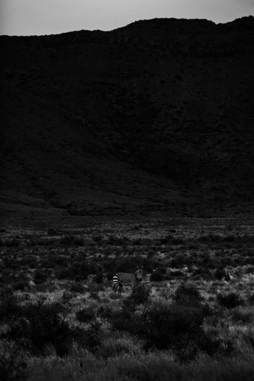 Marlene Ebert - Südafrika