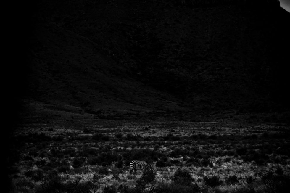 Marlene Ebert - Südafrika