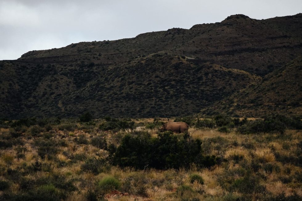 Marlene Ebert - Südafrika