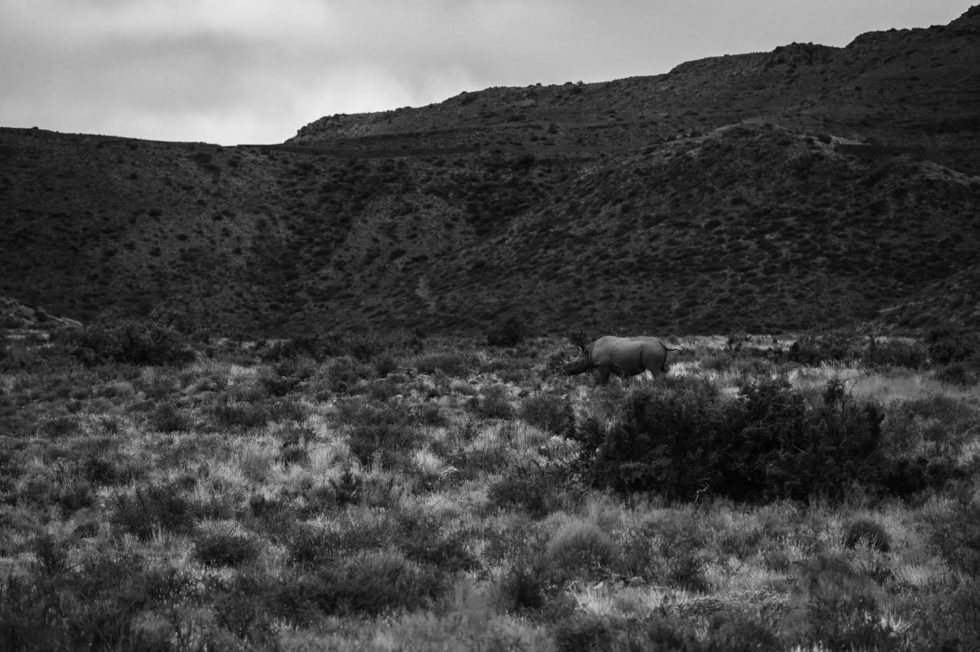 Marlene Ebert - Südafrika