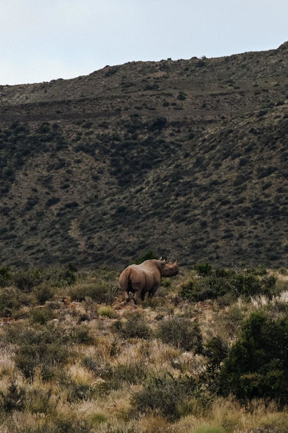 Marlene Ebert - Südafrika