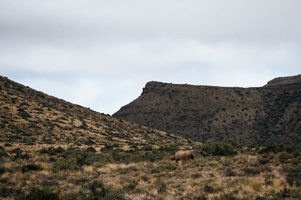 Marlene Ebert - Südafrika
