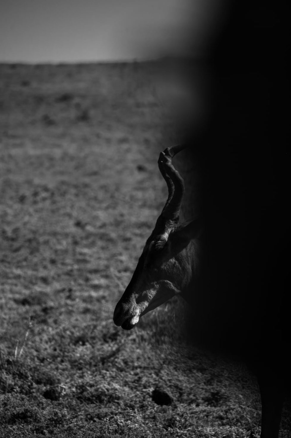 Marlene Ebert - Südafrika