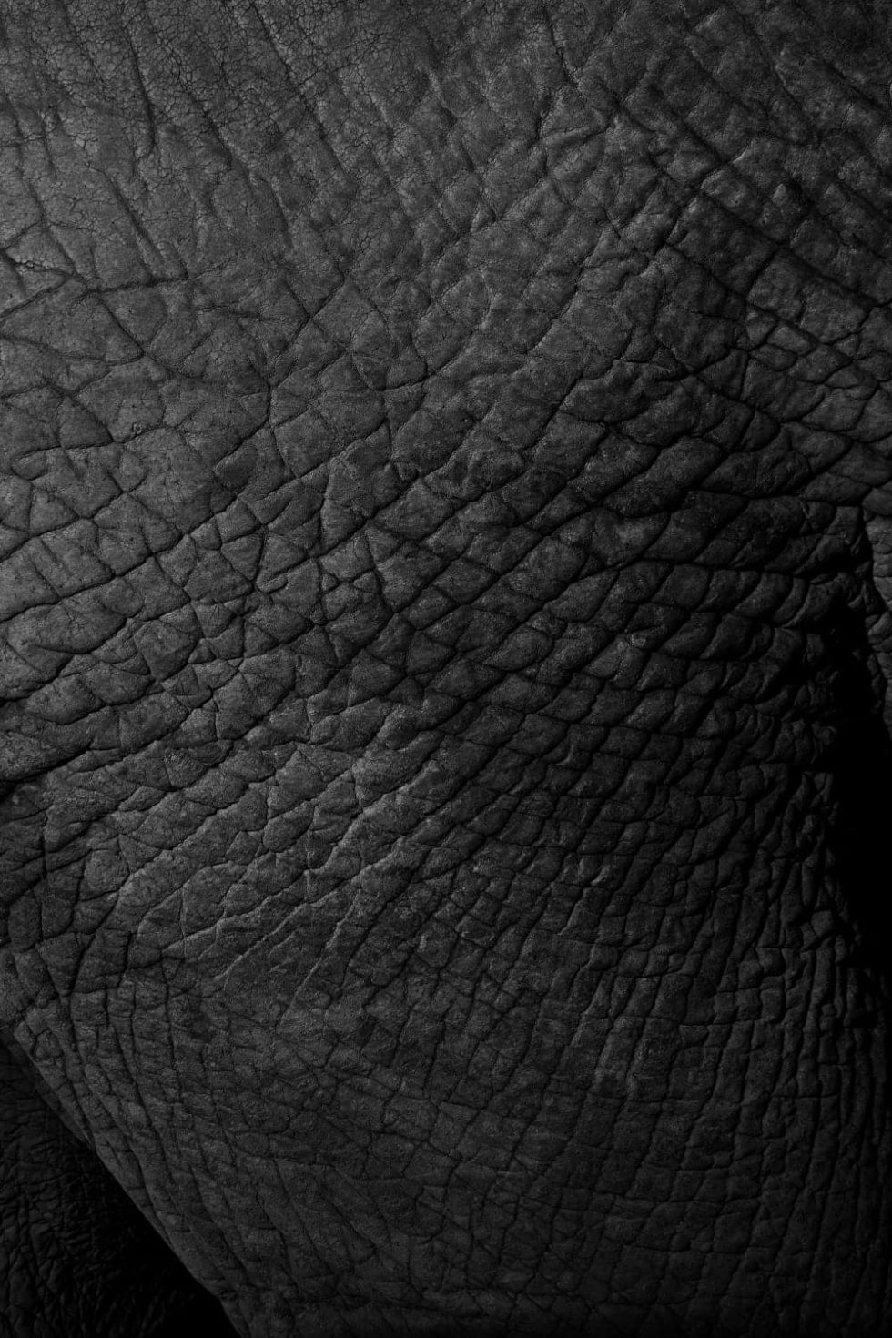 Marlene Ebert - Südafrika