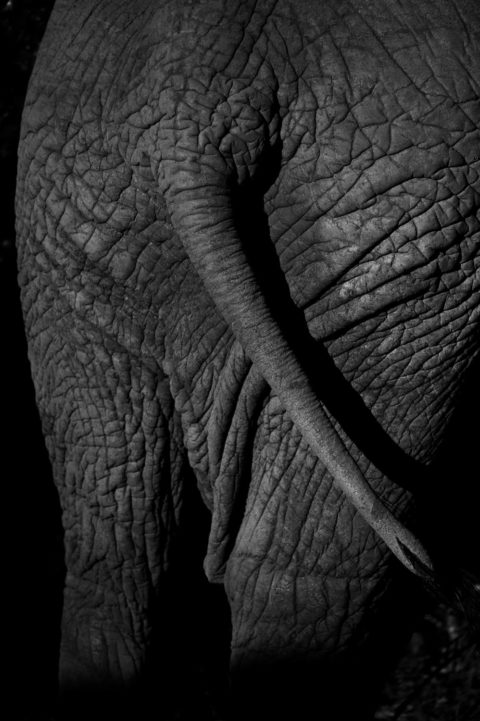 Marlene Ebert - Südafrika