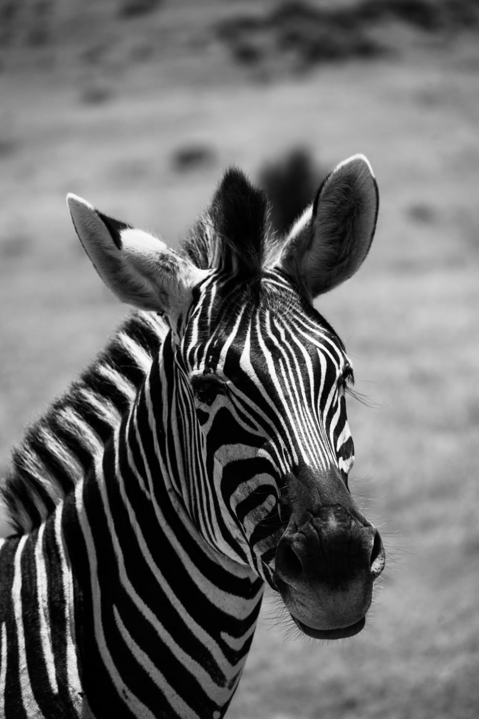 Marlene Ebert - Südafrika