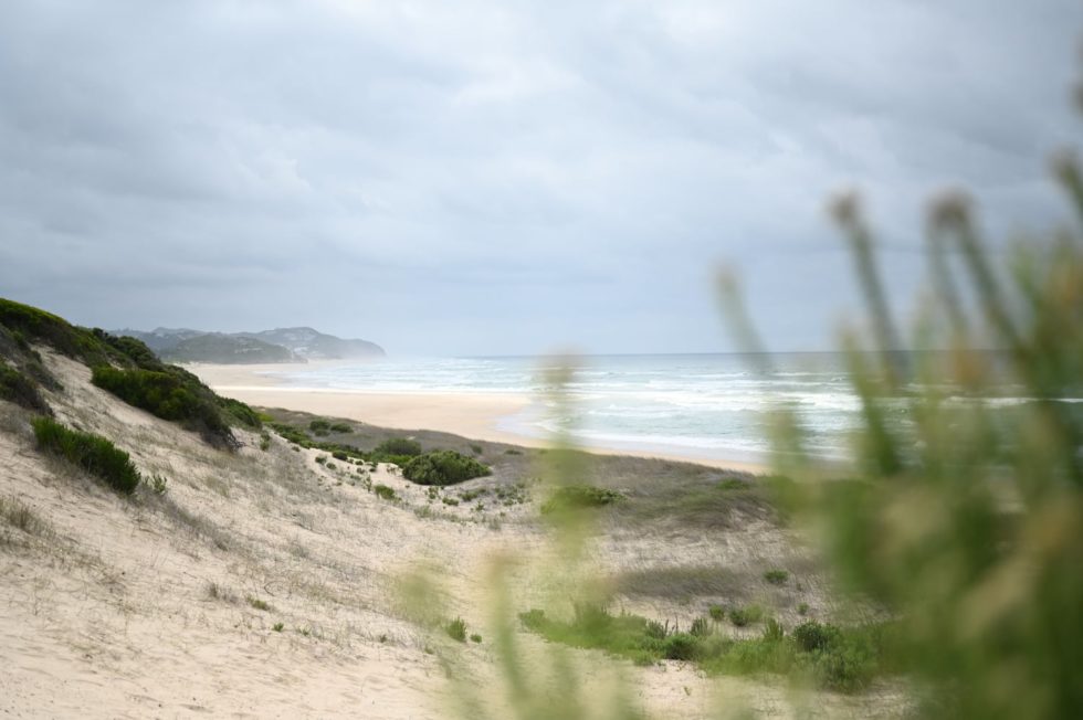 Marlene Ebert - Südafrika