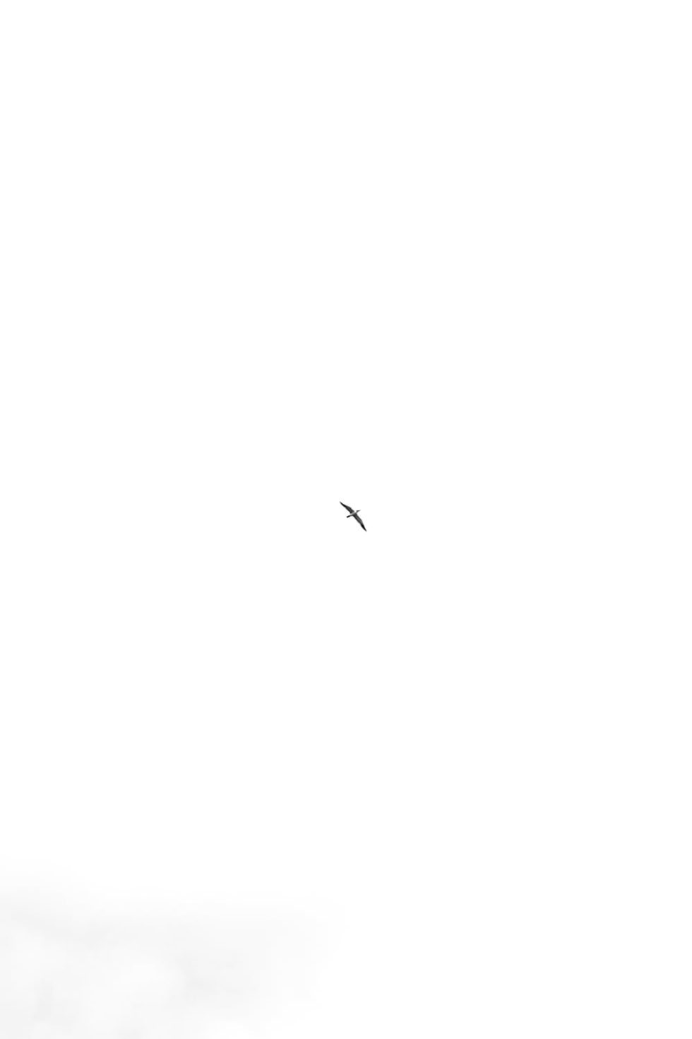 Marlene Ebert - Südafrika