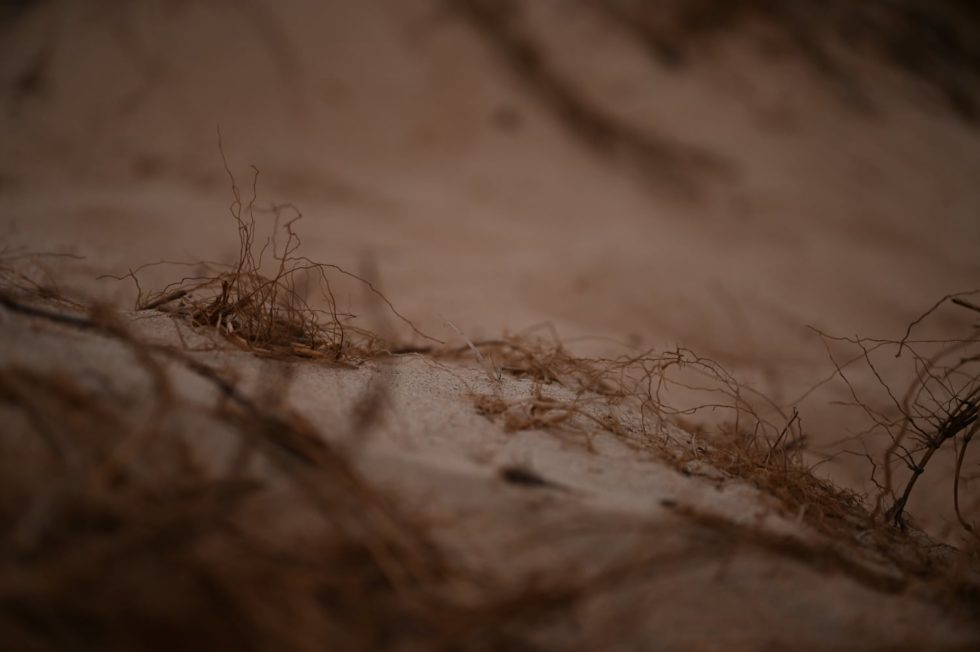 Marlene Ebert - Südafrika