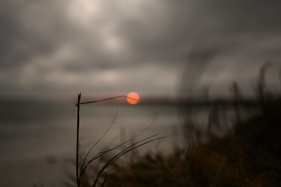 Marlene Ebert - Südafrika