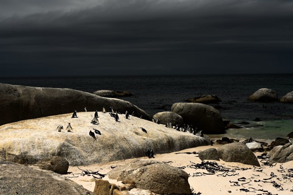 Marlene Ebert - Südafrika