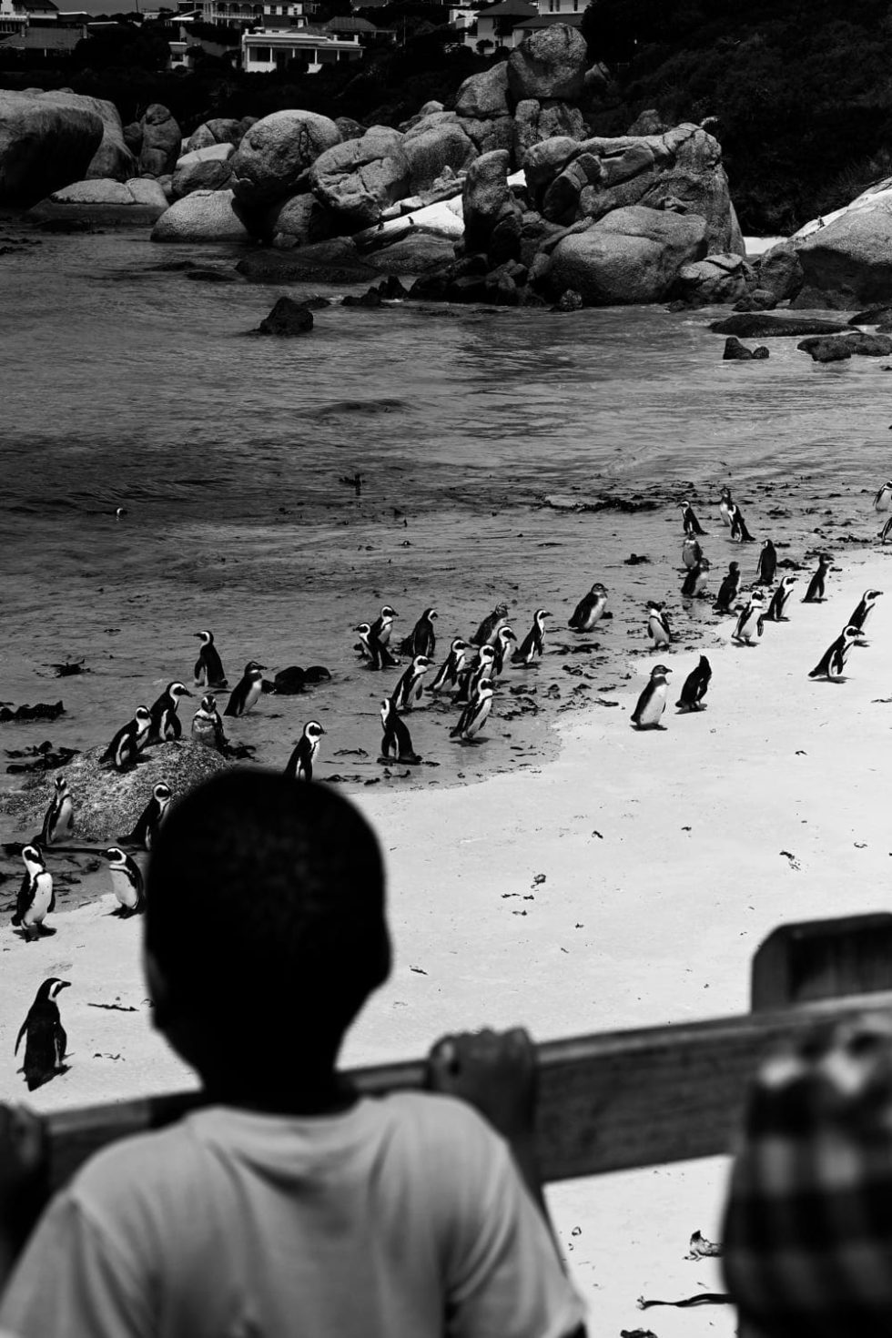 Marlene Ebert - Südafrika