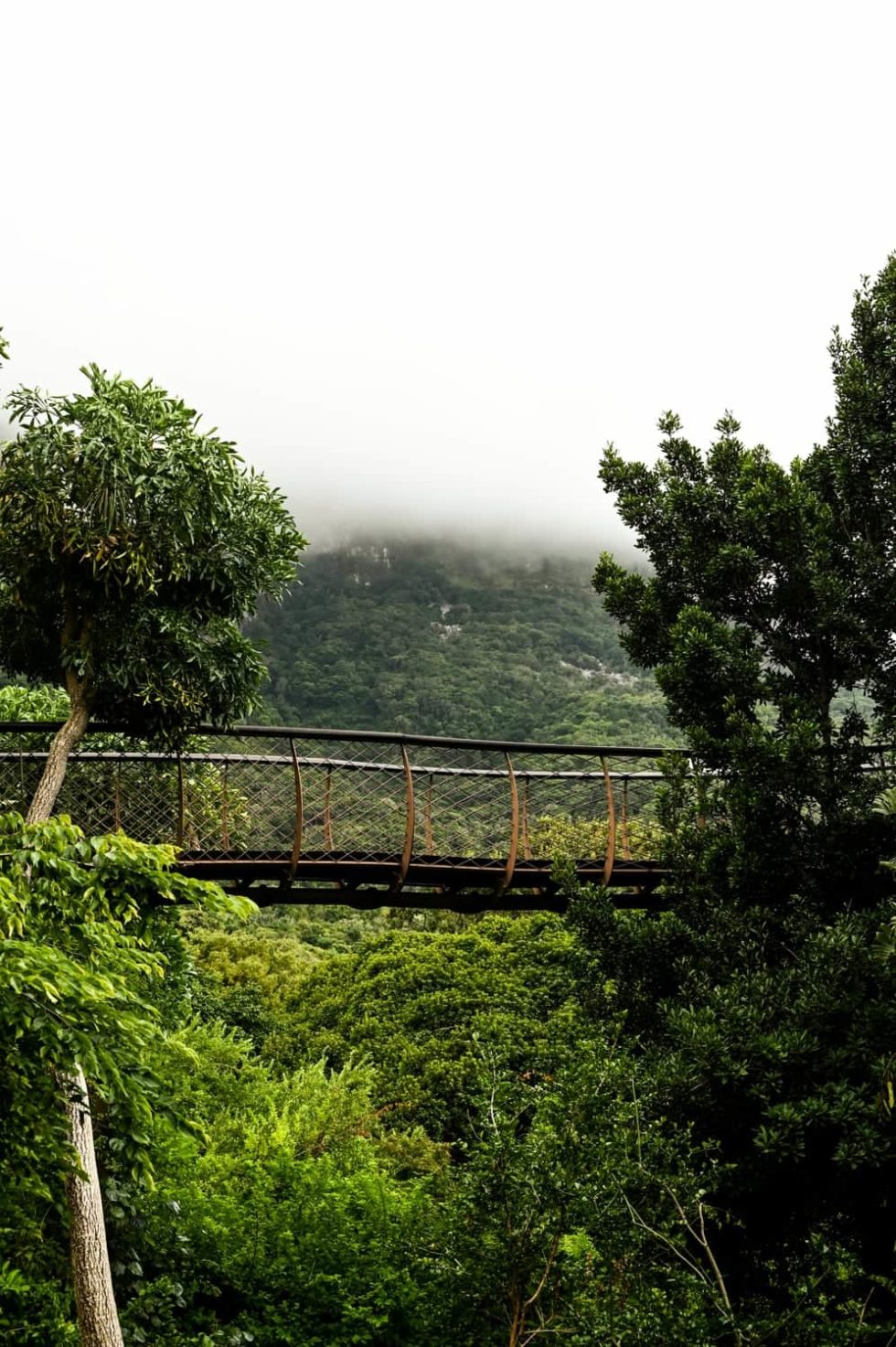 Marlene Ebert - Südafrika
