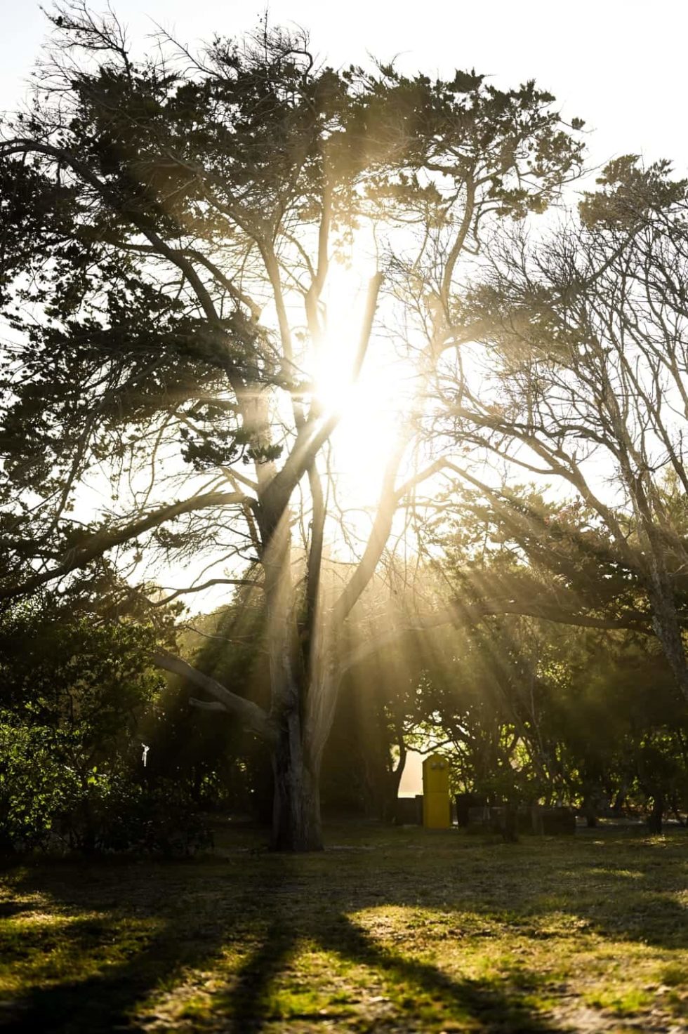 Marlene Ebert - Südafrika