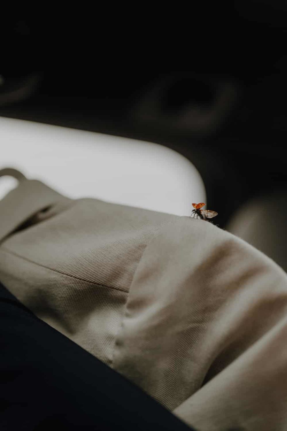 Marlene Ebert - D & H