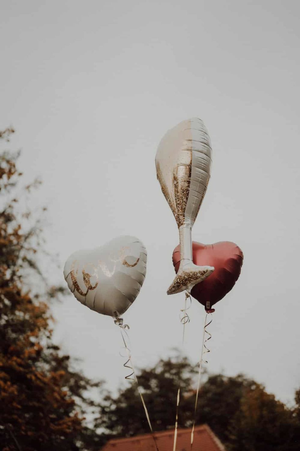 Marlene Ebert - D & H