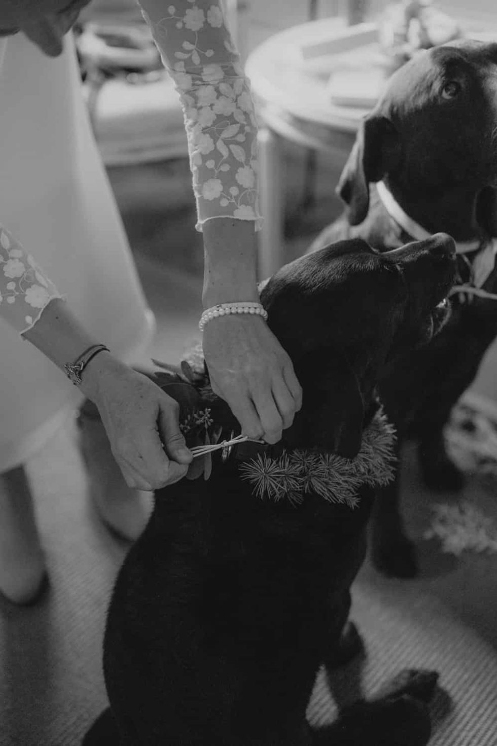 Marlene Ebert - D & H