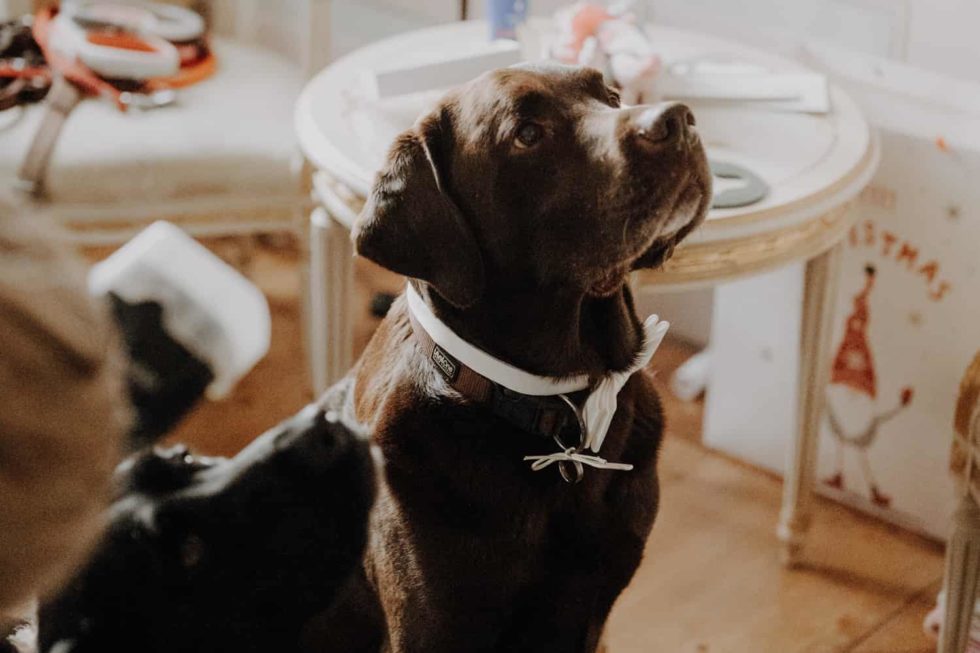 Marlene Ebert - D & H