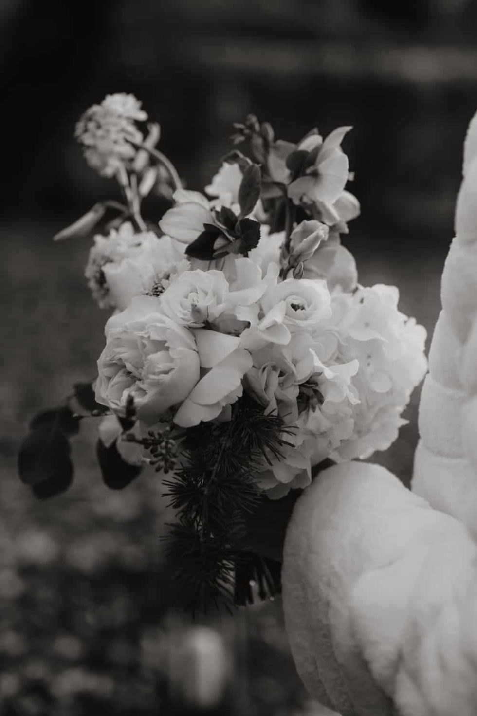 Marlene Ebert - D & H